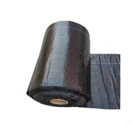 Tessuto barriera resistente agli strappi per uso paesaggistico e giardino realizzato in materiale PP con resistenza ai raggi UV e design traspirante per la gestione del suolo (3 x 5 m PP 70 g)