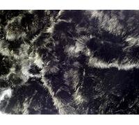 tessuto pelliccia sintetica super luxury materiale - NERO ORSO