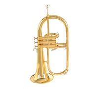 Test Delle Prestazioni Per Principianti In Argento Dorato Dello Strumento A Tromba Piatta In B (Color : Gold)