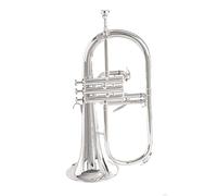 Test Delle Prestazioni Per Principianti In Argento Dorato Dello Strumento A Tromba Piatta In B (Color : Silver)