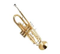 Test Di Esecuzione Per Principianti Dello Strumento A Tre Note Della Tromba In Sib Tromba Professionale