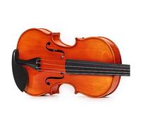 Test Di Livello Principiante Di Violino 4/4 Per Adulti Che Suonano Lo Strumento Violino
