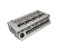 Testa del cilindro AMC 908245