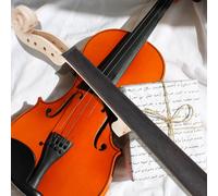 Testa Del Manico Violino Piastra Per Dita Accessorio Strumenti Musicali