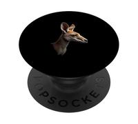 Testa di canguro Deserto Animale Selvatico Australia Art PopSockets PopGrip Adesivo