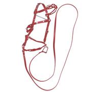Testa di cavallo in pelle sintetica e corda guida | Scafo ergonomico e confortevole con fibbia di metallo | Teste stabili e formazione durano per le corse quotidiane