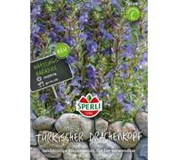 Testa di drago turco