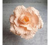 testa di fiore artificiale, 30 cm gigante PE schiuma rosa simulazione fiori ramo sfondo matrimonio decorazione peonia giardino muro strada palco festa fornitura multicolore(Champagne-b)