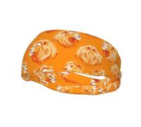 Testa di leone, fascia sportiva che assorbe il sudore, adatta per corsa, yoga, fitness, ciclismo e tennis