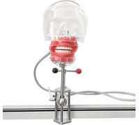 Testa Di Manichino Per Simulatore Dentale Orale Impianto Per Testa Di Simulazione Semplice Scambio Di Insegnamenti Insegnamento E Ricerca 1:1 Per Pratica Didattica A
