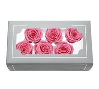 Testa di Rosa Conservata di Grado A 5-6cm, Rose Eterne Naturali Reali di Prima Qualità, Rosa Immortale Dura da 3 a 5 Anni per Regali della Festa della Mamma San Valentino Compleanno, Decorazione Casa