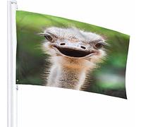 Testa di struzzo Primo piano Bandiera Decor 3x5 Ft incapace di volare africano Faccia curiosa Fauna selvatica pelosa Motivo stampato in poliestere Decorazioni per esterni per case e giardini