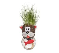 Testa Erba Che Cresce Gatto - Pianta Capelli Animale Divertente con Vasetto e Ciondolo Pesce - Idea Regalo Originale per Amanti dei Gatti - Decorazione Scrivania Ufficio - Grass Head 12,5 cm