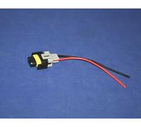 Testa Luce Nebbia Lampada Lampadina Connettore Codino 881 889 894 H8 H11 GM Auto