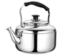 Testa per tè in acciaio inossidabile per tè in acciaio in acciaio inossidabile per cuocere con tela di teatro per la maniglia ergonomica per teiera per cottura a gas (dimensione: 3L) (un colore 10L)