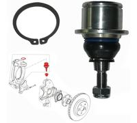 Testa Superiore Del Pivot Per Mozzo Clio E Megane 3 RS 2.0 = 7711160423