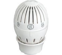 Testa termostatica sensore liquido per radiatori Giacomini R470X001