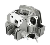 Testata 56mm alesaggio 1P56FMJ motore orizzontale compatibile con YX140 YinXiang 140cc Dirt Pit Bike ATV Quad