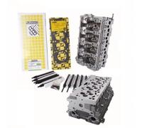 Testata Audi Volkswagen Nuda 2.0 Tdi 16v con kit guarnizione e Bulloni Omaggio