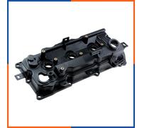 NTY BPZ-NS-004 Coperchio punterie