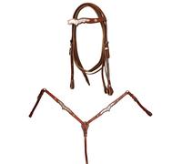 Testiera e pettorale Western completa di redini con decorazioni in argento Pools