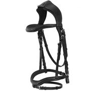 Testiera inglese Amazzone ACavallo con sopratesta sagomato imbottito frontalino