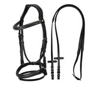 Testiera inglese anatomica in cuoio con frontalino e capezzina imbottiti Equestr