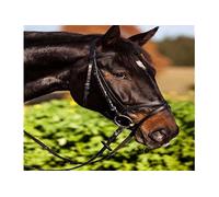 Briglia standard snaffle Kerbl Marron Cob