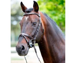 Testiera Tattini con strass