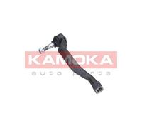 Testina barra sterzo Assale anteriore Sx 9010249 KAMOKA per RENAULT LATITUDE