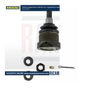 Testina sospensione inferiore con ingrassatore laterale (per modelli dal 2005...