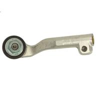 REINHOCH Estremità del tirante RH01-3060 sinistro