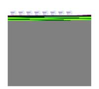 Testine For Spazzolino, Compatibili Con LFTB01-P LFTB01-A LFTB01-S | Testine Di Ricambio Con Setole Morbide For Spazzolino Elettrico(WhitePurple)