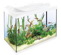 Tetra Acquario Starter Line 80 L, bianco, set completo - include illuminazione a LED diurna e notturna, filtro interno, riscaldatore, cibo per pesci e condizionatore