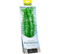 Tetra DecoArt - Piante acquatiche artificiali per acquario Cabomba verde