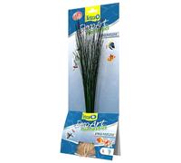 TETRA DecoArt Plantastics Premium Hairgrass 35 cm