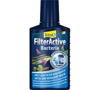 Tetra FilterActive Bacteria - Prodotto per la cura dell'acqua, 100 ml | Batteri starter vivi & batteri detergenti che riducono i fanghi | Mantiene il filtro biologicamente attivo | Riduce i detriti