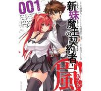 Tetsuto Uesu The Testament of Sister New Devil STORM Vol. 1 (Tascabile)