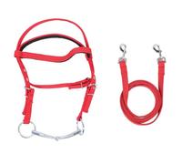 TEUOPIOE Briglia regolabile in nylon con redine, elegante testiera equestre, attrezzatura per equitazione, allenamento, sentiero e spettacolo per proprietari di cavalli, cavalieri e appassionati di