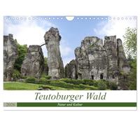 Teutoburger Wald - Natur und Kultur (Wandkalender 2026 DIN A4 quer), CALVENDO Monatskalender: Der Teutoburger Wald fasziniert durch seine Vielseitigkeit