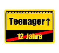 TEUYOE Targa per adolescenti, 30 x 20 cm, regalo per 13° compleanno | Alluminio di alta qualità, antiruggine e leggero. Perfetto per il 13° compleanno. Ideale come decorazione da parete nella