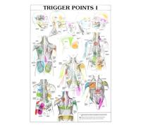 Teweakt Immagine di Arte della Parete Corpo Umano Scienza Scuola Istruzione Trigger Points Tabella Anatomia INFORMATIVA Tela for Pittura Poster Decor(F,30X40cm Frameless)