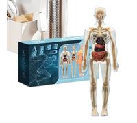 Tewzafiya Anatomia per Bambini,Kit Scientifico Corpo Umano 3D con Scheletro - Strumenti Educativi per Giovani Bambini Adolescenti Scuola Materna Scuola Elementare Insegnanti Homeschooling