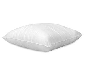 Tex family Imbottitura POLYFILL per Cuscino - Morbido Poliestere Siliconato - Rivestimento TNT - Forma Originale NON Sottovuoto - Made in Italy - Cm. 80x80