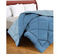 Tex family Trapunta matrimoniale CaldoSogno double-face blu 300 gr/mq - Piumone invernale caldo e soffice 250x250 cm