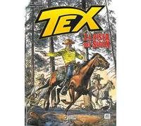 Tex. La pista dei Sioux