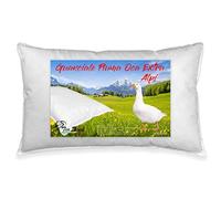 Tex Tirol Alpi - Guanciale Rettangolare Piuma Oca, Bianco, 50 x 80 cm, 1 pezzo