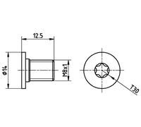 Textar Vite per disco freno TPM0002 Torx interno 2x per Mercedes-Benz Classe A EQE EQV