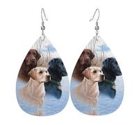 Texture leggera e lussuosa: adatti per l'uso quotidiano, orecchini per feste e appuntamenti con labrador retriever, orecchini in pelle a forma di lacrima