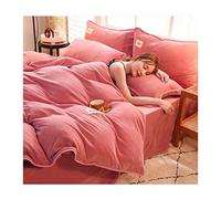 TFBHL Foglio da Letto Set Inverno Ispessimento Inverno Velluto di Latte Caldo più Fogli di Vello per Vello per Coralli semplici Colora di lettiera in Flanella SOLUSO 4 PC Set BEDED BEDE (Colore: A,